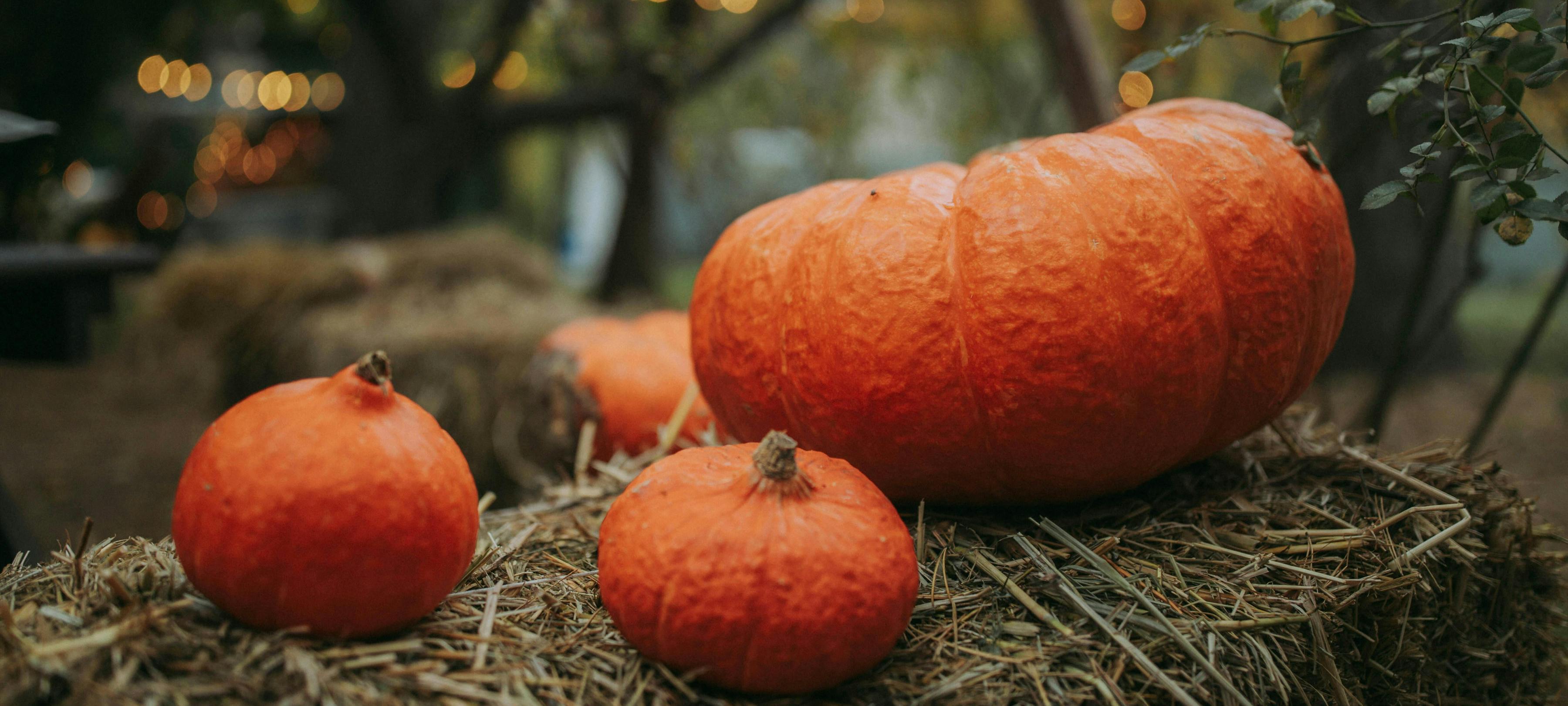 Beuningen Samen: voor en door inwoners van Beuningen, Ewijk, Weurt en Winssen
