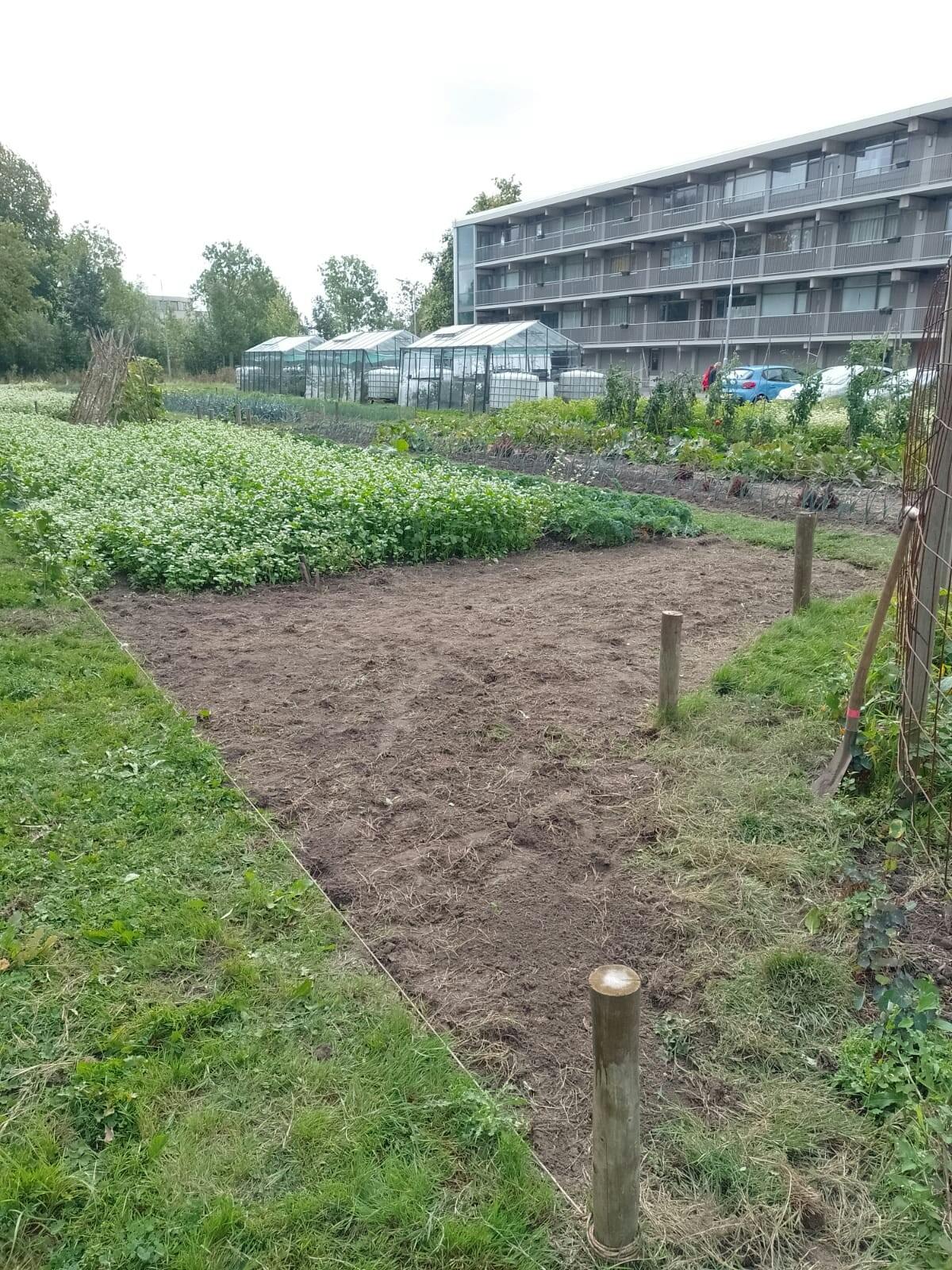 Word jij de spin in het web van CitySeeds?