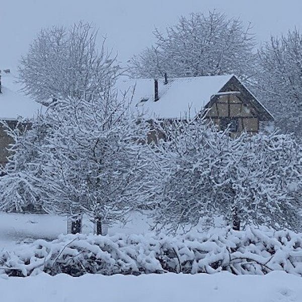 Kerstmarkt ‘Landgoed’ Diependal in Epen