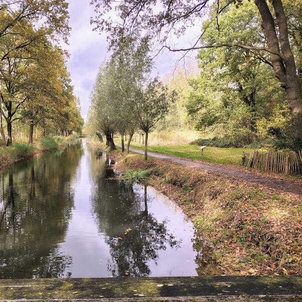 Stille krachten in een Ruwaardpark!
