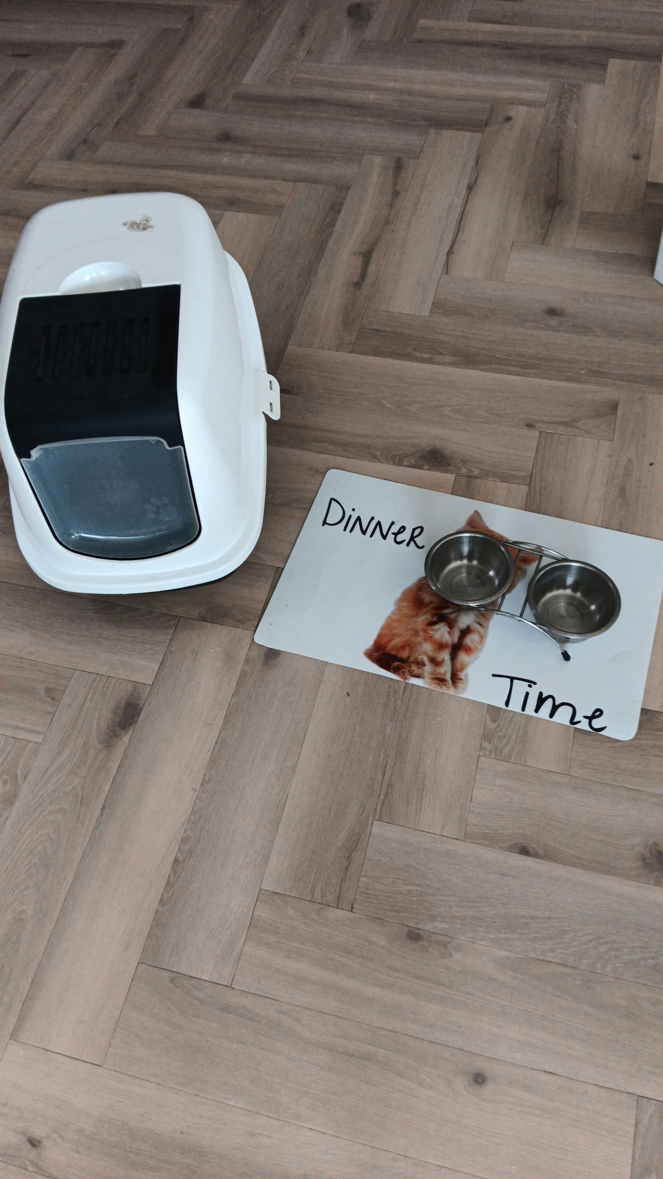 Kattenspullen afgehaald