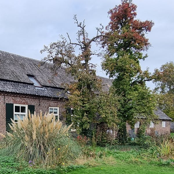 Sint Anthonis: dorpswerkplaats in Sint Tunnis: denk en doe mee!