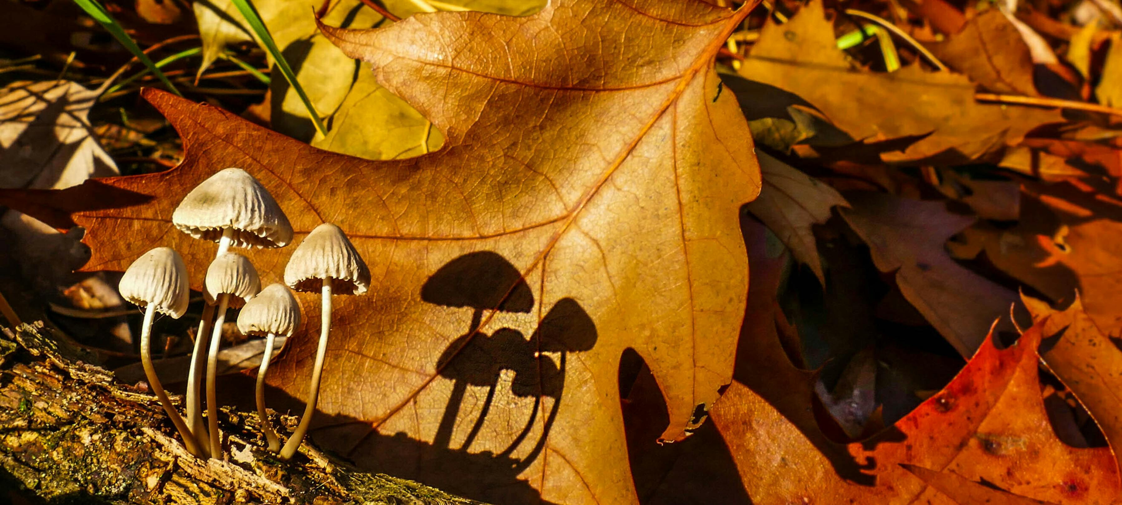 Welkom op onsgemertbakel.nl!