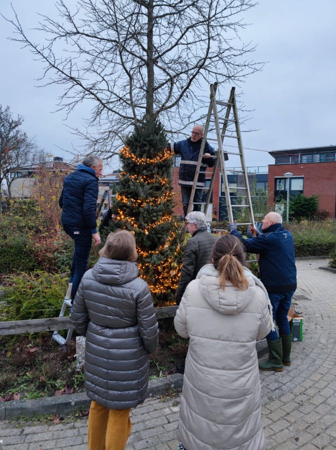 Krijg een kerstboom voor jouw straat tijdens het Decemberstraatfeest