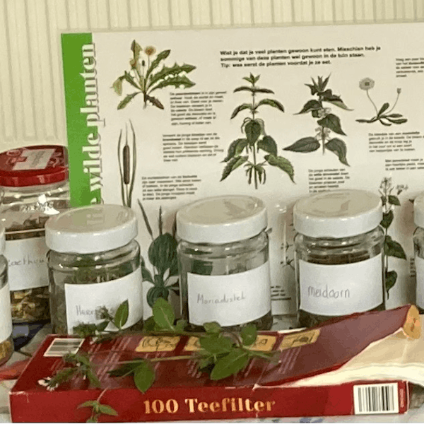 Theeworkshop “Verkoudheid”