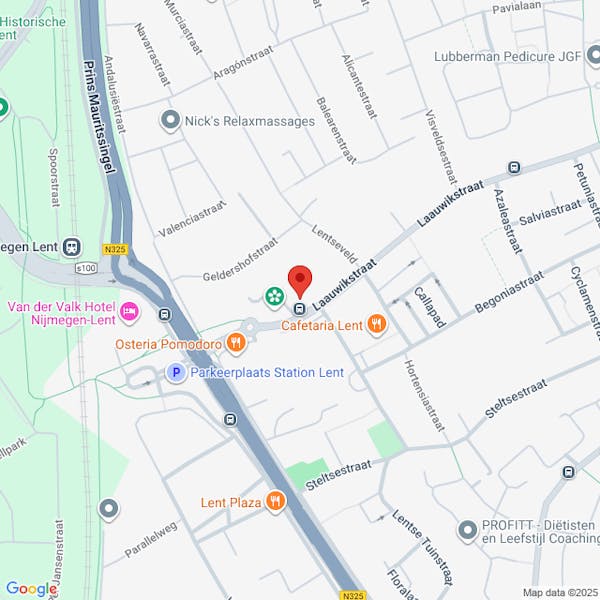 Vergunning verleend - evenementenvergunning - Lenste Carnavals Feesten - 13 en 14 februari 2026 - Laauwikstraat 5 te LENT