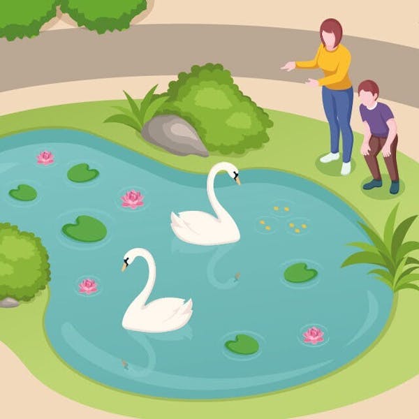 Nieuwe Welzijnswijzer Land van Cuijk: samen alles zichtbaar maken op één plek