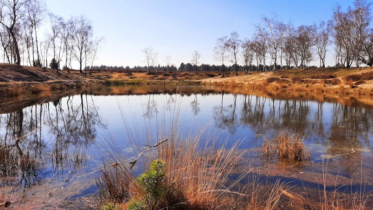 Kijk mee naar De Verwondering