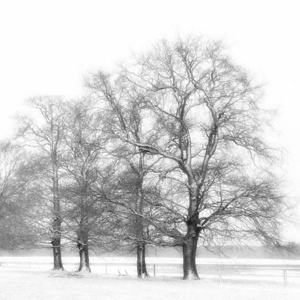 Kunst in het gemeentekantoor: Door de lens van Ria Janssen & Erwin Goossens