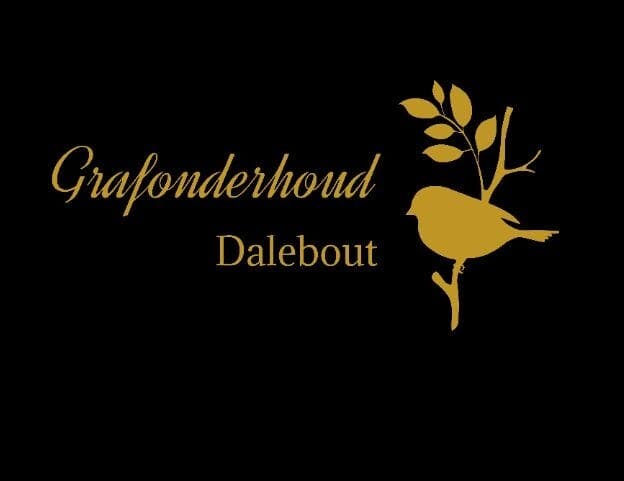 Grafonderhoud 