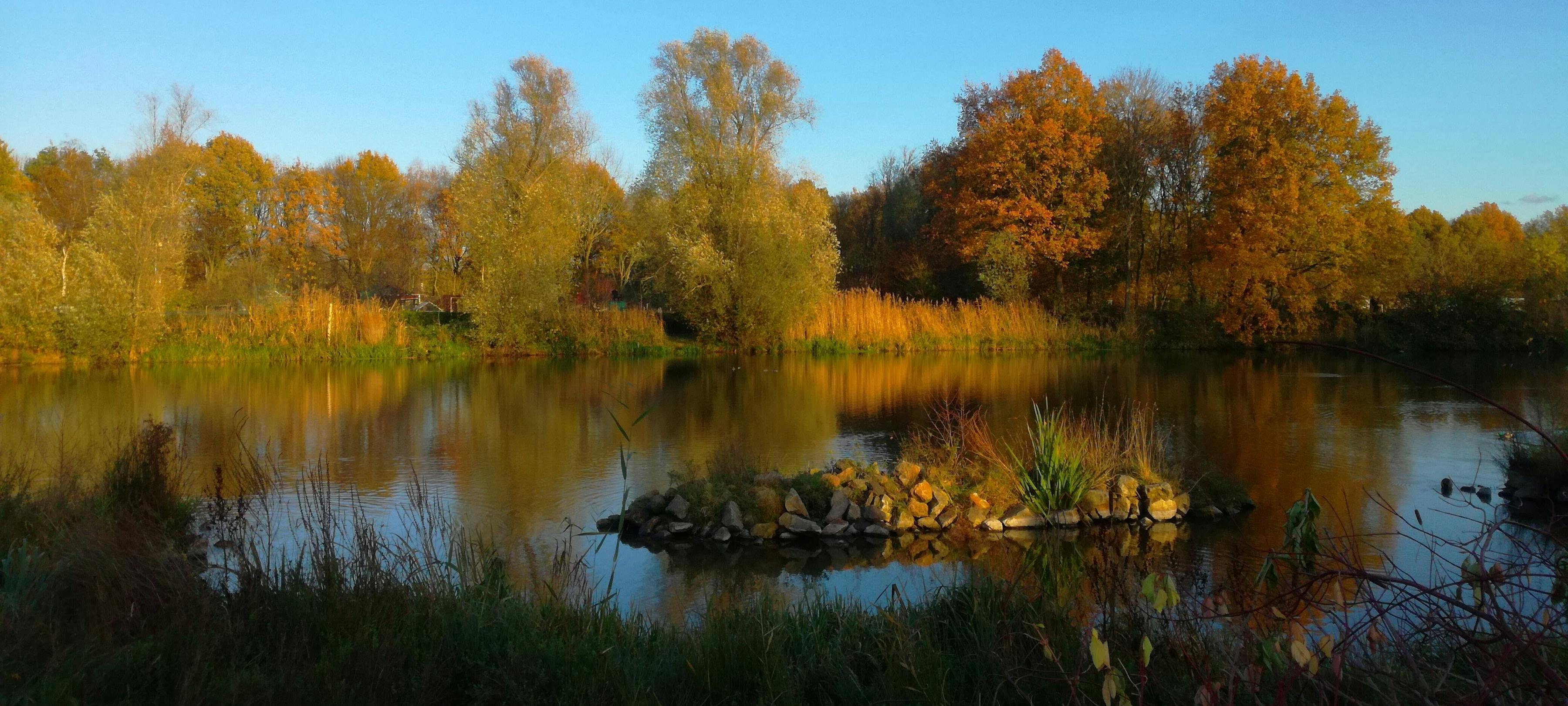 Samen maken wij het sociale actieve platform van Wijchen!