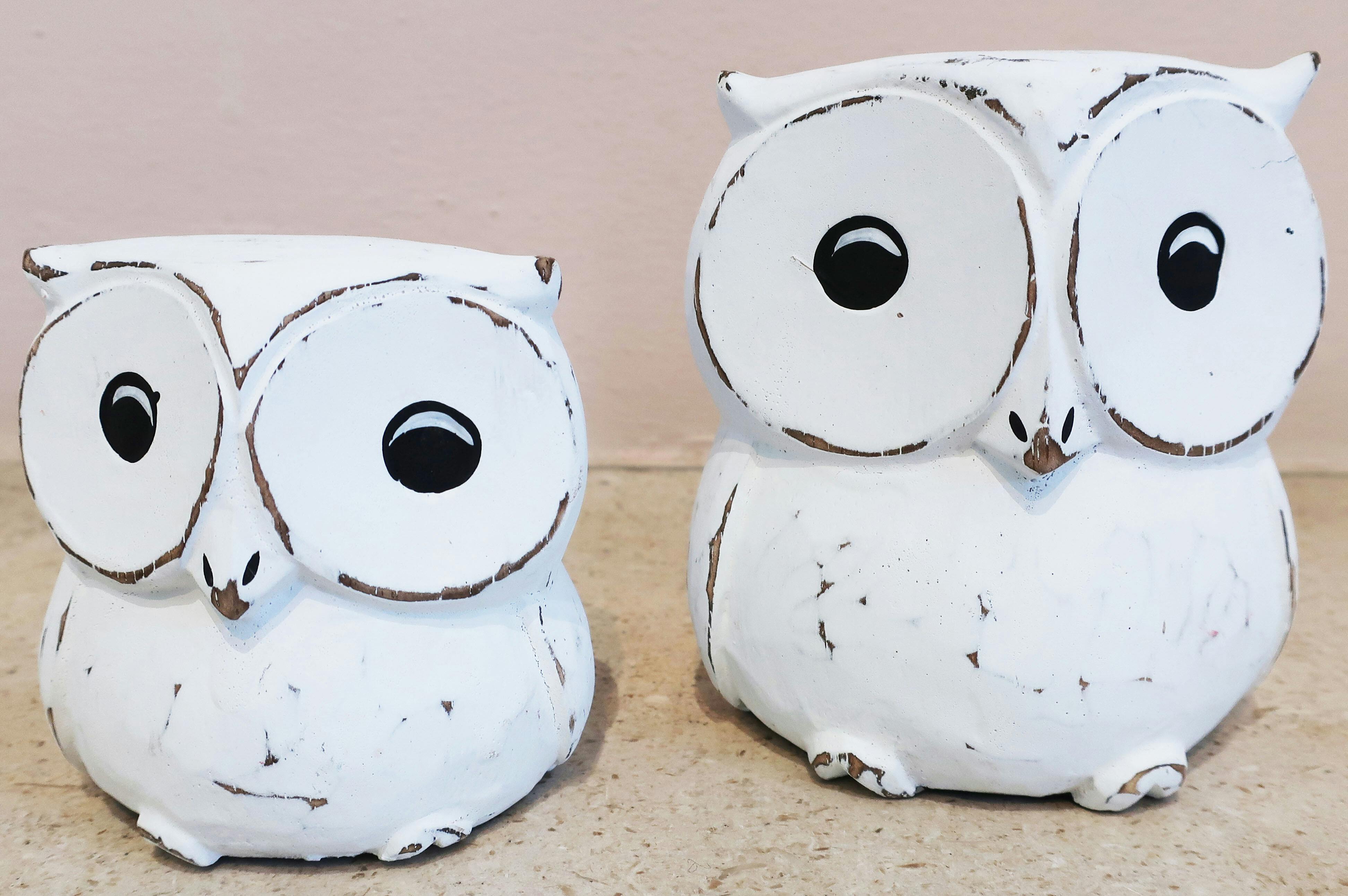 10% korting uit uilen bij Wereldwinkel Wittem