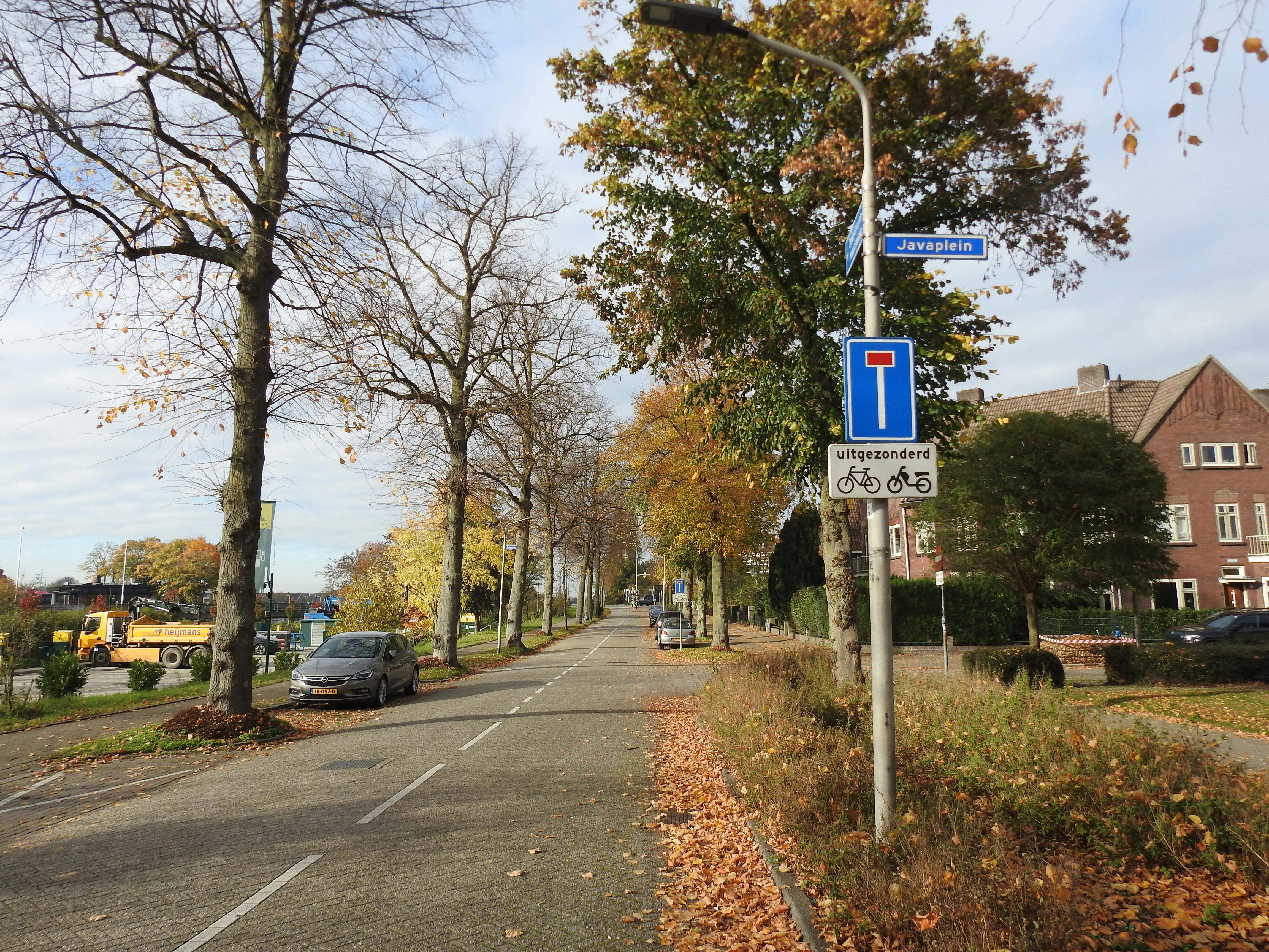 Oude Groenewoudseweg met groencompensatie en Fietsstraat van de 'Groene corridor' 2025-2026