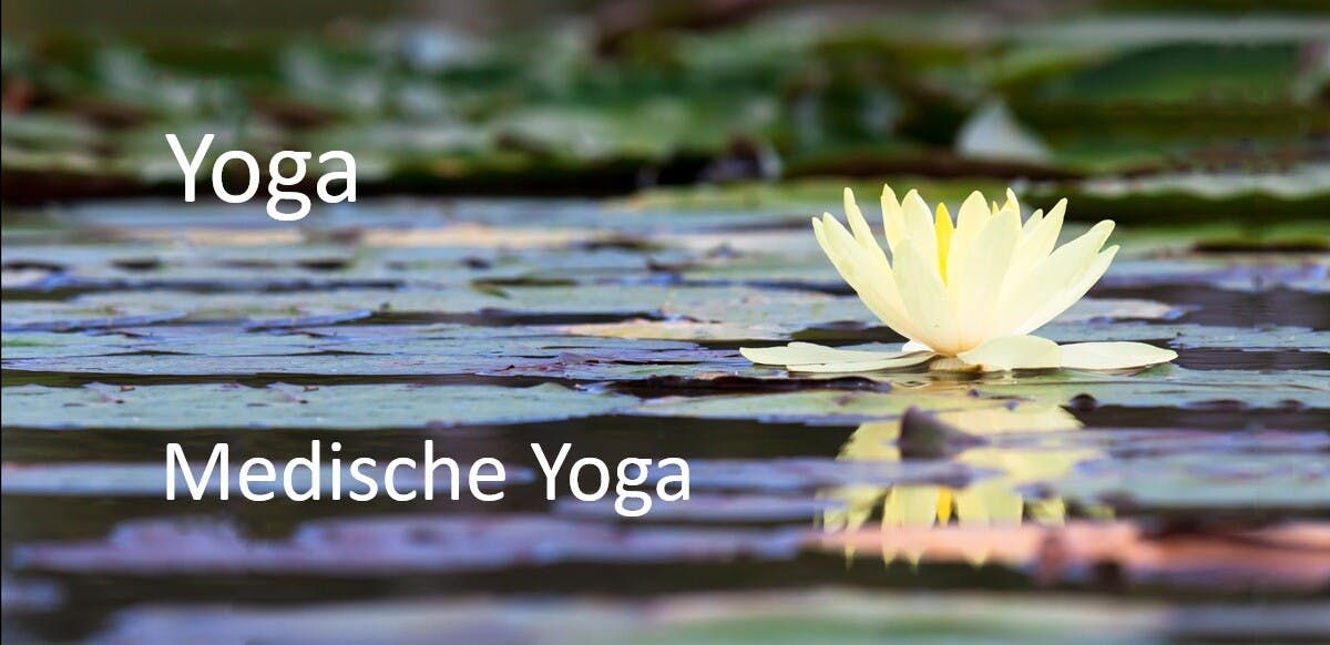 Ontdek deze Yogalessen