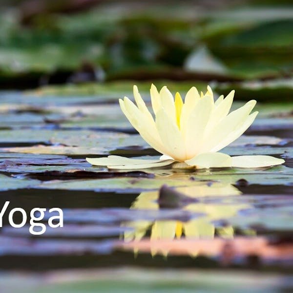 Ontdek deze Yogalessen