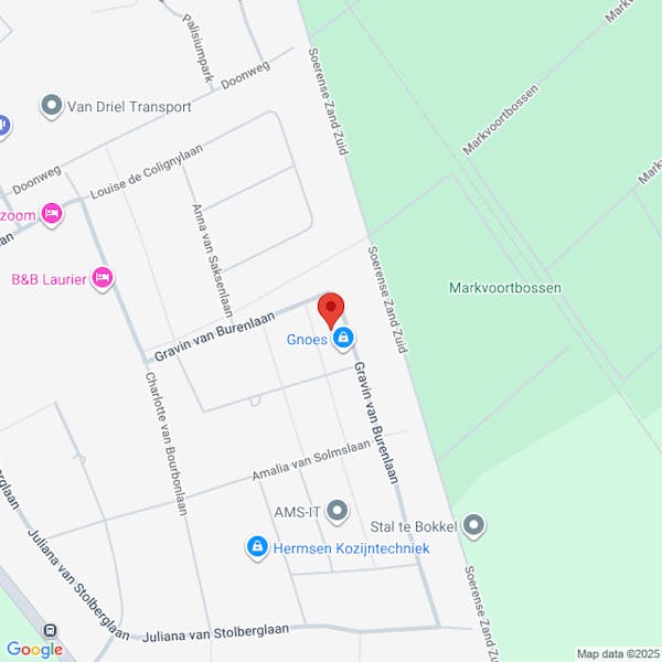 Gemeente Brummen - Verleend omgevingsvergunning, het kappen van 9 dennen met herplantplicht, Gravin van Burenlaan 16, Eerbeek.