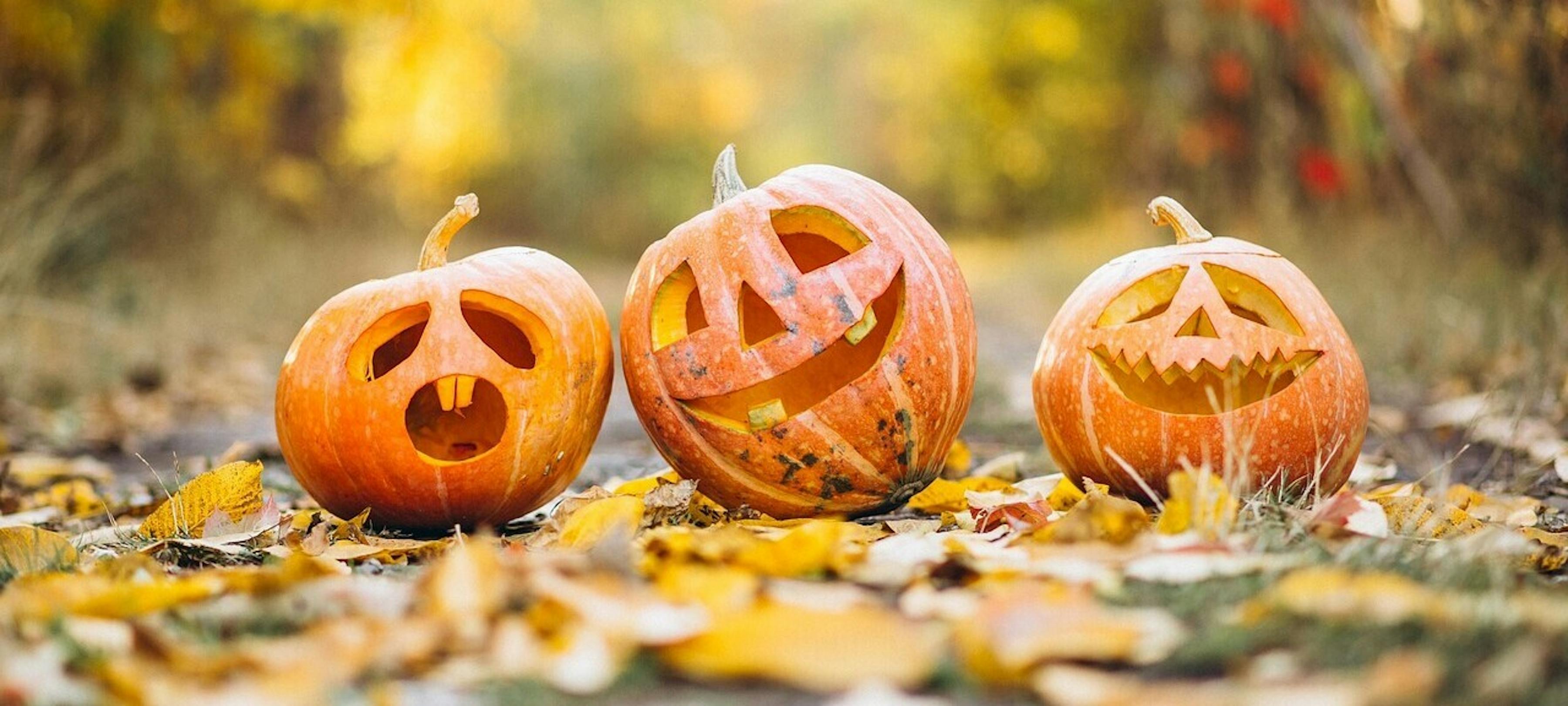 Voor een klik met je dorp in de gemeente Mook en Middelaar