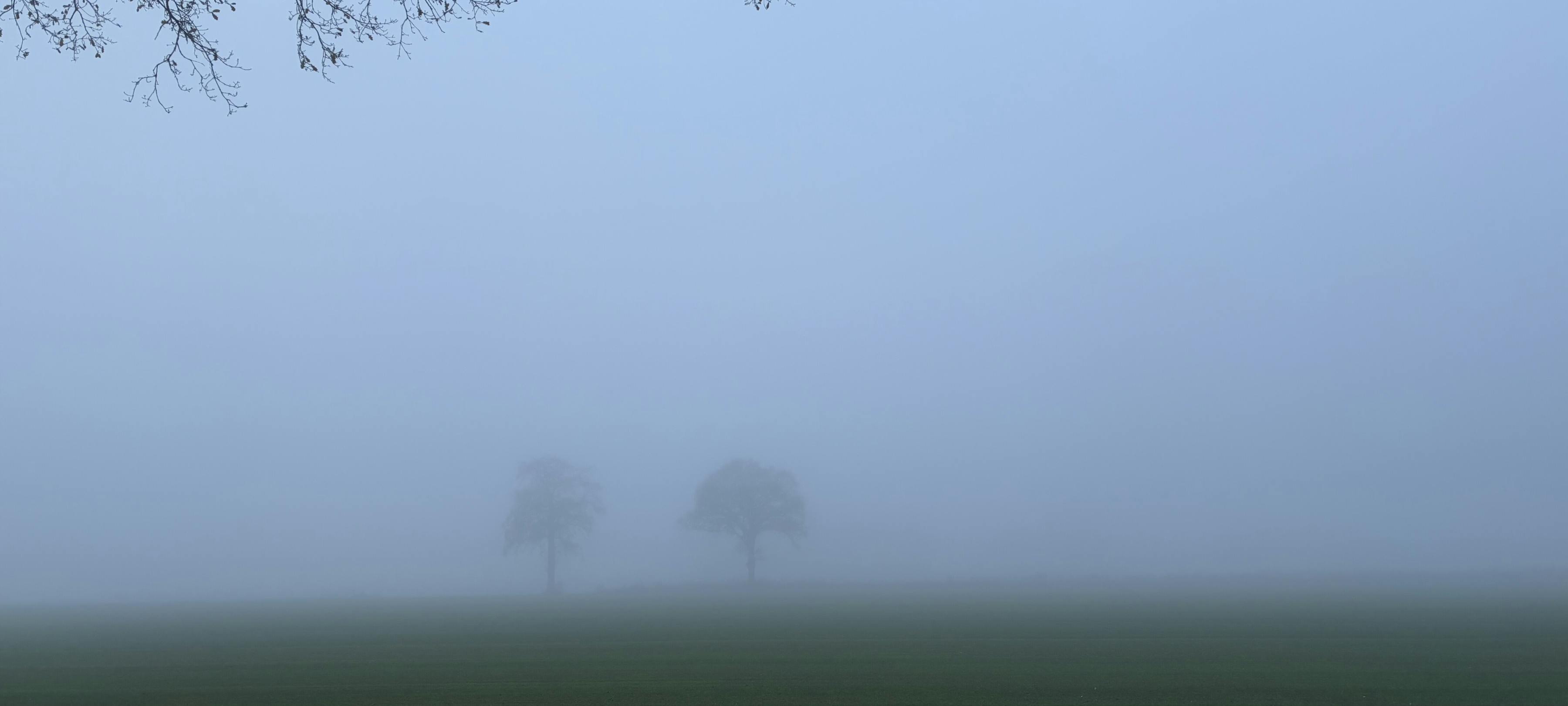 Allemaal Oisterwijk: Samen voor elkaar