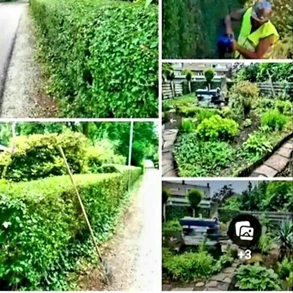 Tuin Winterklaar maken.