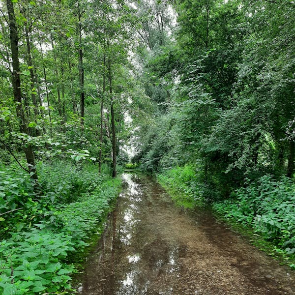 Rinske Kegel, bezinnende (schrijf)workshops met natuur als rode draad