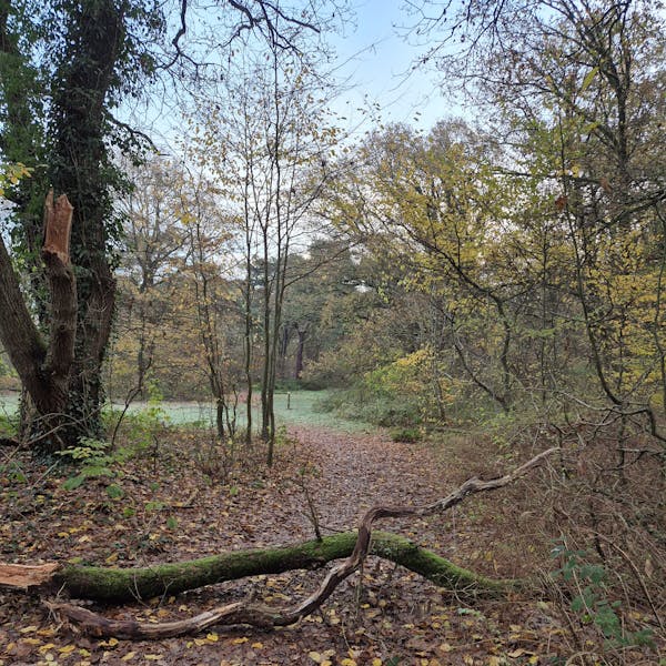 Ons mooie pad is niet meer toegankelijk😪