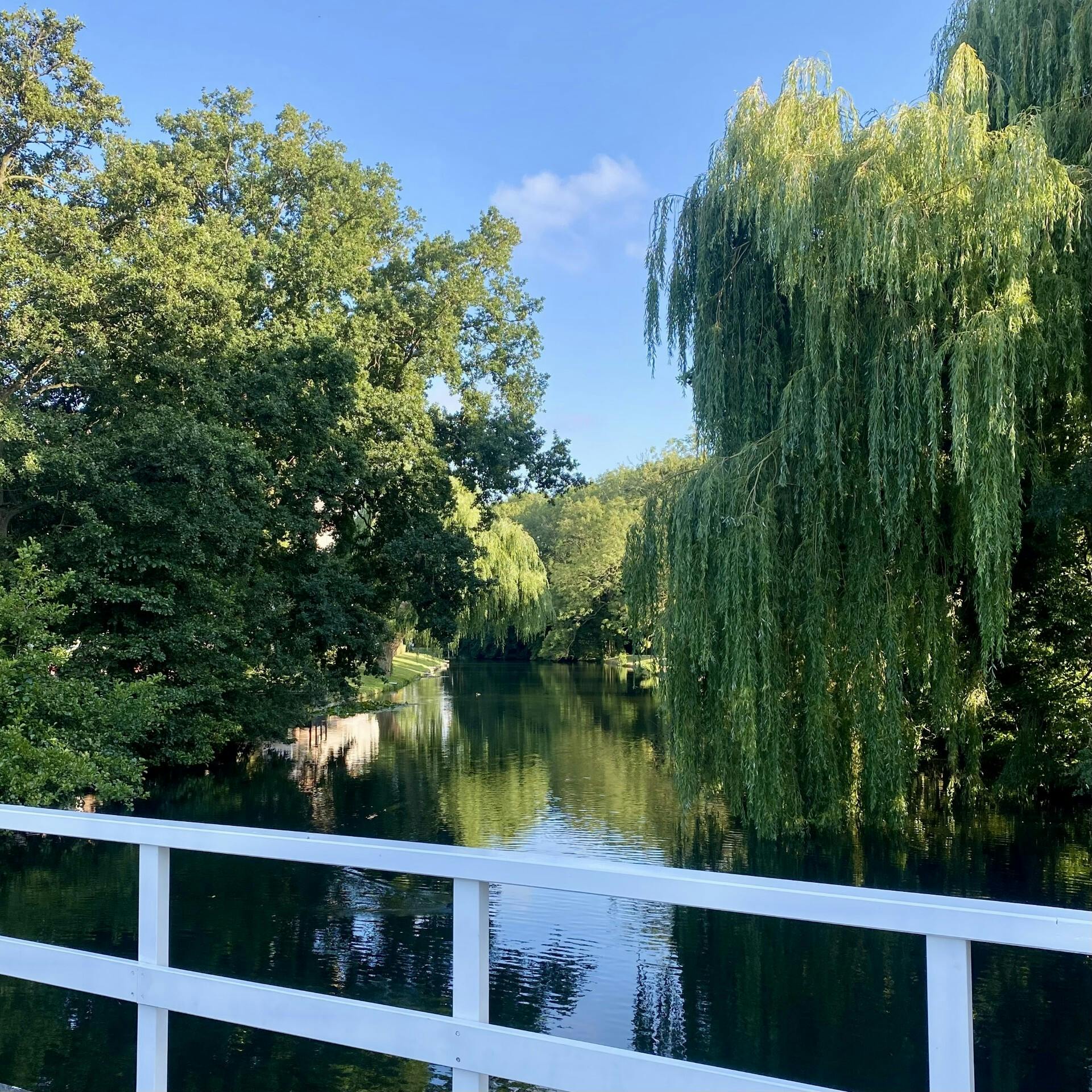 Wandelmaatjes gezocht!