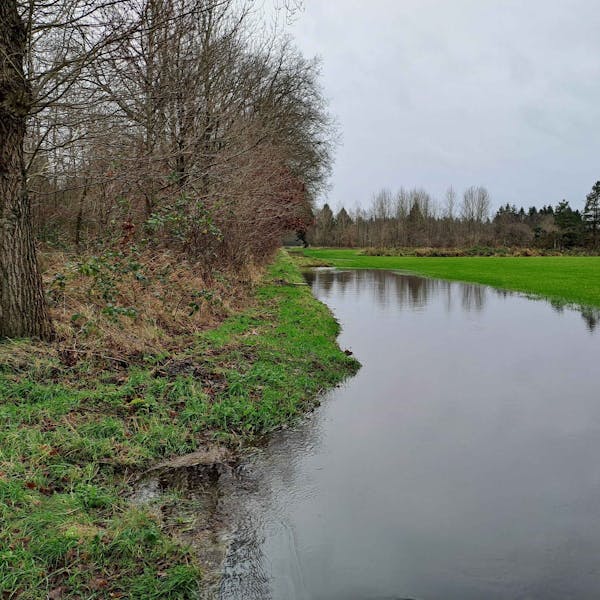 Ontdek de toekomst van ons landschap