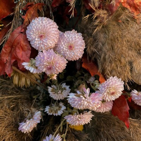 Samen in de wijk - Koggenland - Herfsttaartje maken