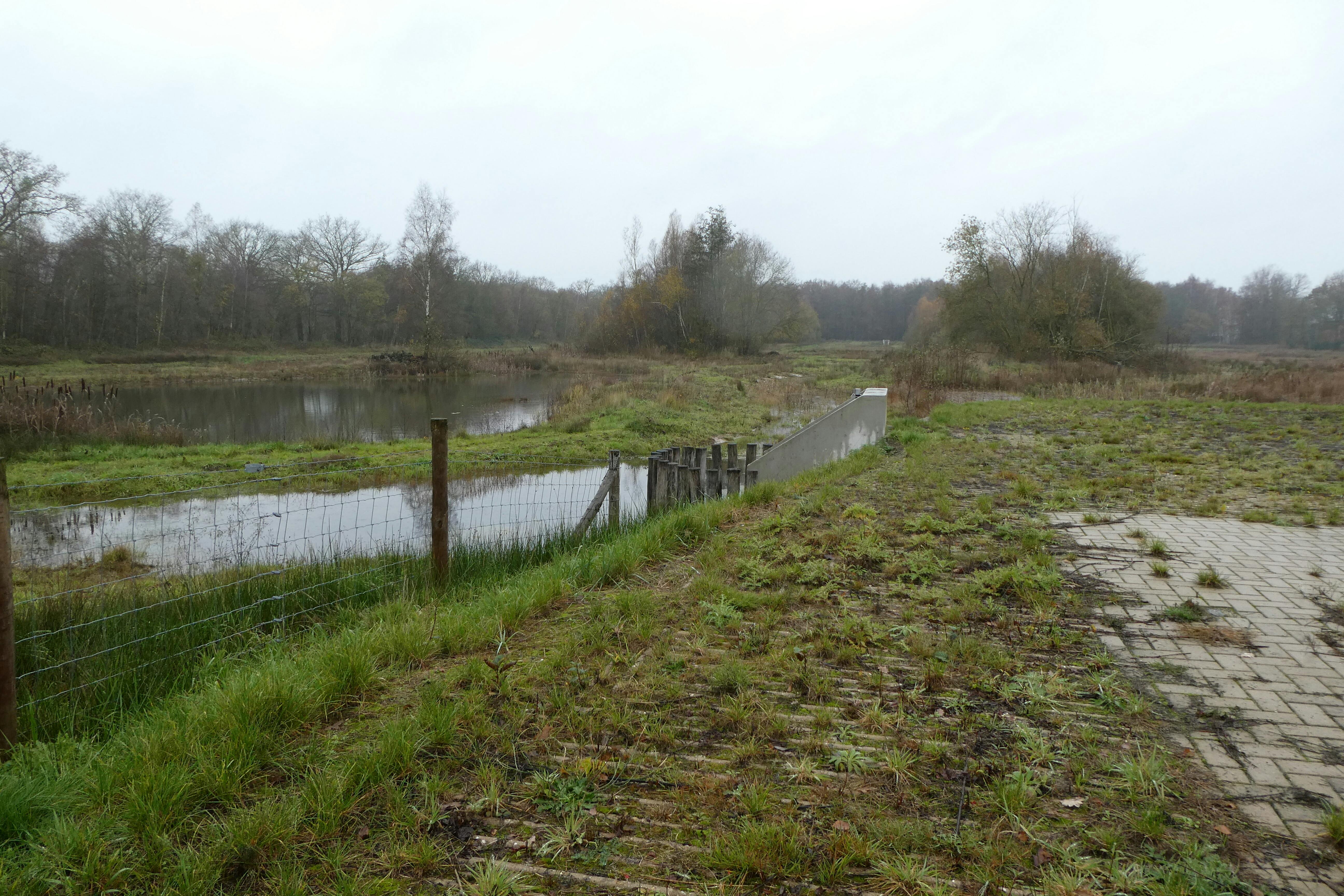 Wandeling door het Schraalzand en langs de waterberging bij Boxmeer