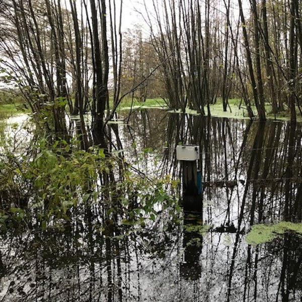 10e Brummense landschapsgesprek