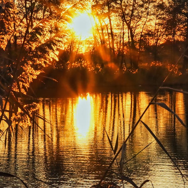 Fotowedstijd Kiekus met als thema 'Herfst"