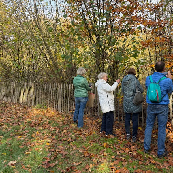 Vang het moment met je smartphone