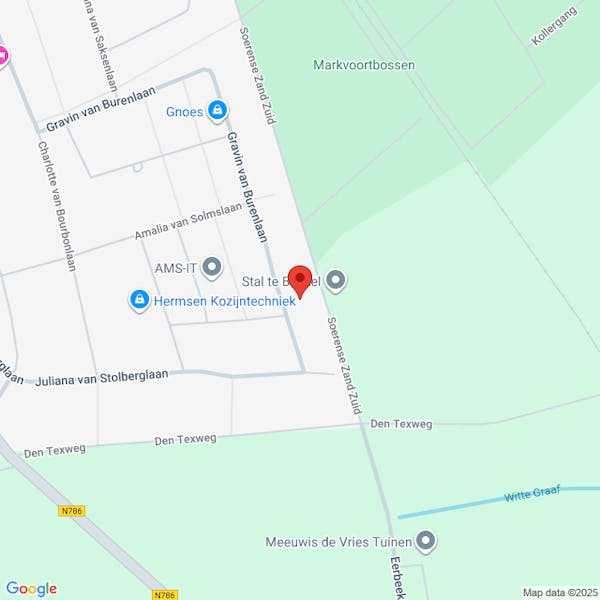 Gemeente Brummen - Ingediende aanvraag omgevingsvergunning, het kappen van een berk, Gravin van Burenlaan 25, Eerbeek