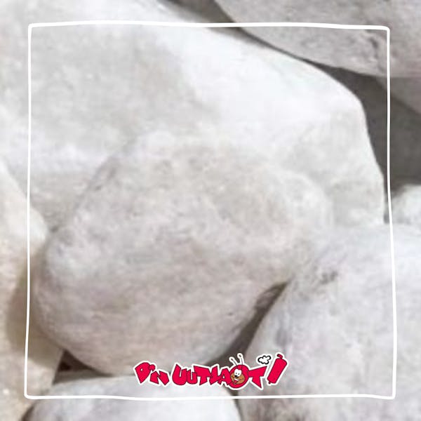 Prinsenbal CV Dn Uutlaot