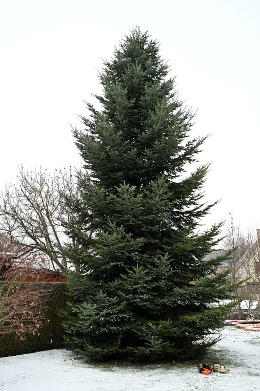 De voorbereiding voor de lichtjesavond is in volle gang. 