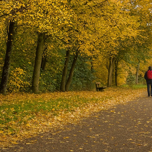 Week 48 - Van klik tot keramiek – Moergestel weet van aanpakken!