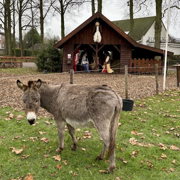 Oproep: Meld jouw kerststal hier aan en laat heel Nederland meegenieten.