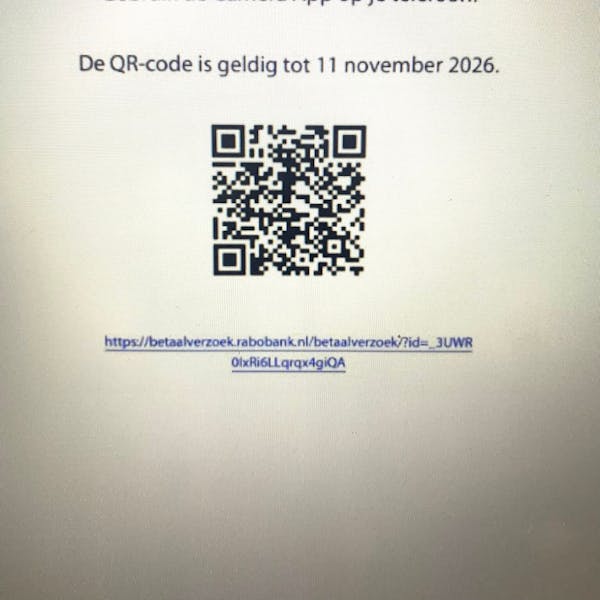 Intocht Sinterklaas 2025 - Middelaar & Plasmolen