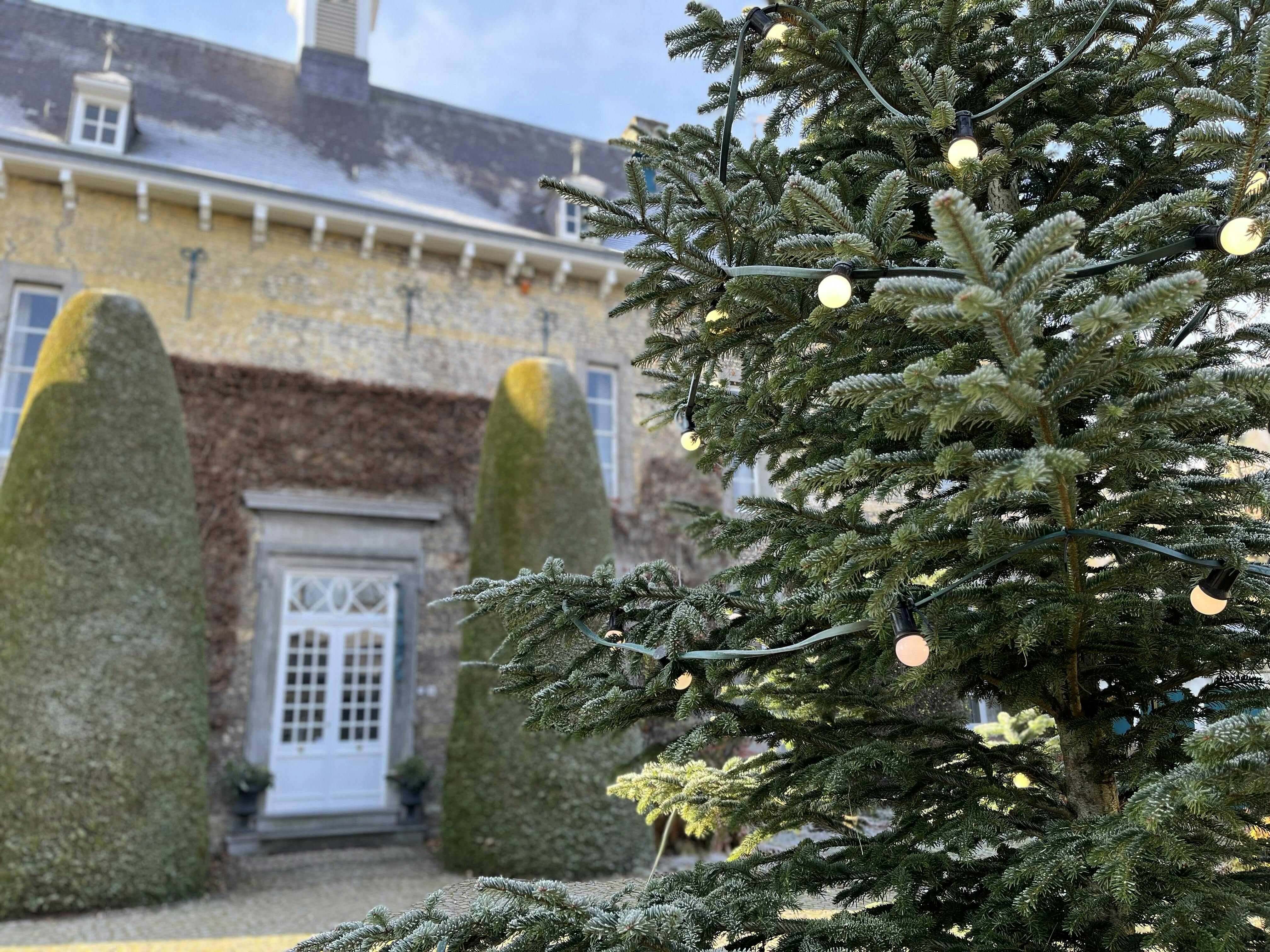 Ontdek kunst, dierenverhalen, kasteelkeukenmagie en schemerwandelingen met UV-licht