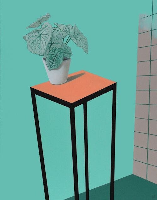 Ontdek de kunst van Peter Colstee