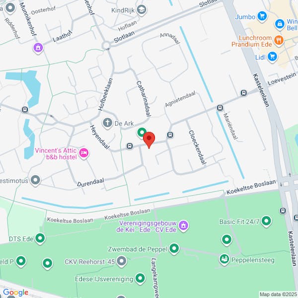 Verlenging beslistermijn reguliere procedure, Heyendaal 19 Ede, het kappen van 1 slangenden.