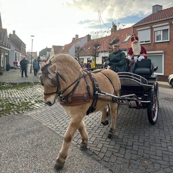 De Intocht van Sinterklaas in Zuidzande