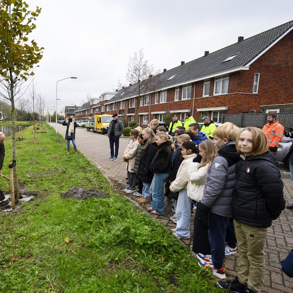 Lekker leven met bomen in Papendrecht!