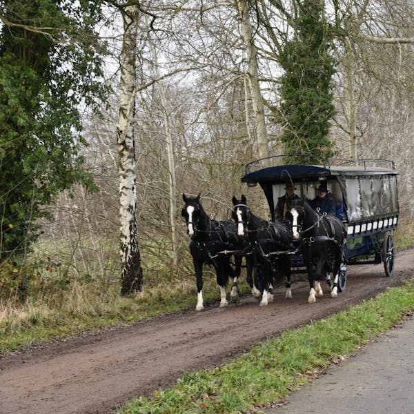Midwinterwandeling Brummen