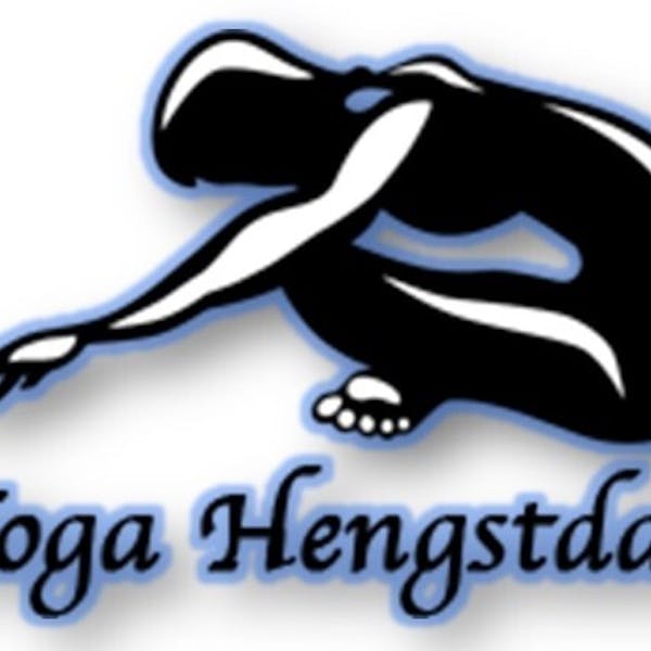 Kom opladen met Hatha-Yoga. Geschikt voor beginners en ervaren yogi's, Iedere les is een moment voor jezelf.