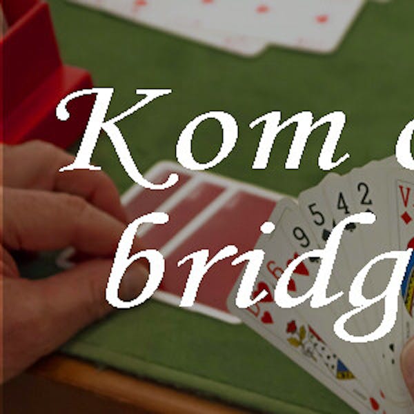 Bridgen in Schoondijke