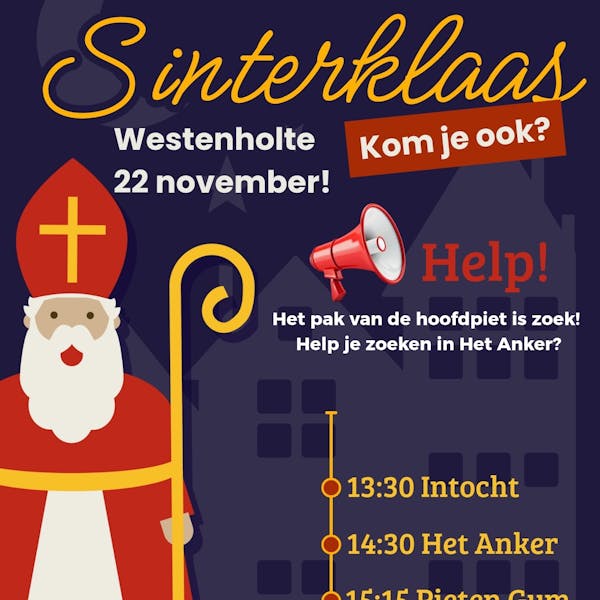 Sinterklaasintocht Westenholte
