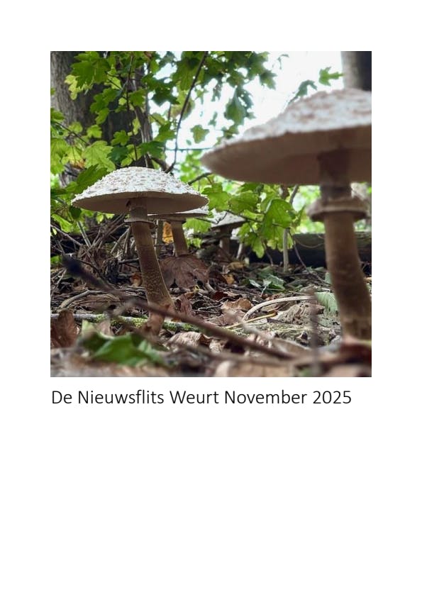Nieuwsflits Weurt november