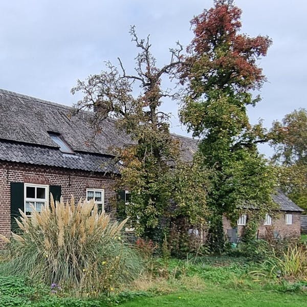 Dorpswerkplaats in Sint Tunnis: denk en doe mee!