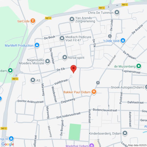 Verkeersbesluit: aanwijzen van parkeerplaatsen ten behoeve van het opladen van elektrische auto’s op De Eik 52 in Didam